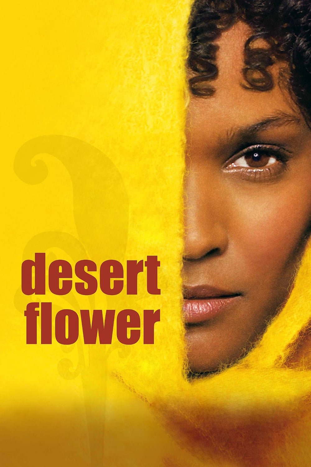 剧情片《沙漠之花》（2009）